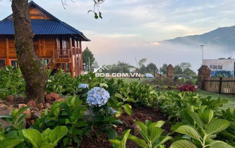 Đón bình minh trên đồi gió – 1000m² đất nền nghỉ dưỡng chờ bạn tại  Bảo Lộc.