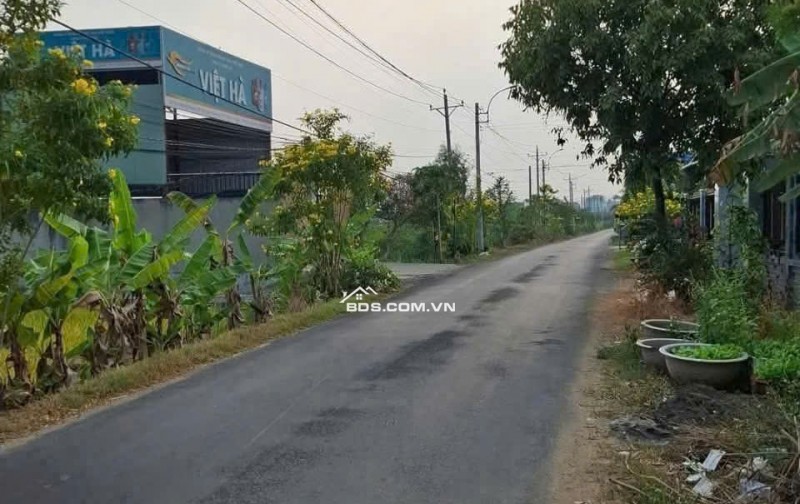 Cơ hội vàng sở hữu đất nền rẻ nhất khu vực Long An SHR giá chỉ 900 triệu