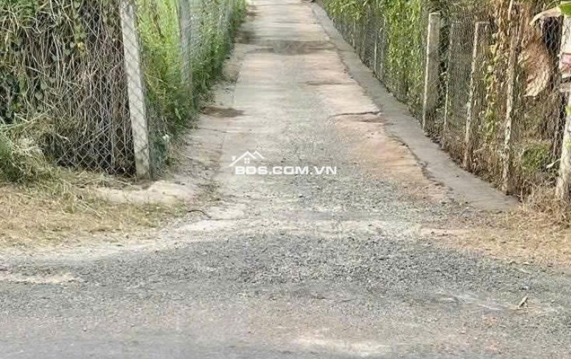 Cơ hội vàng sở hữu đất nền rẻ nhất khu vực Long An SHR giá chỉ 900 triệu