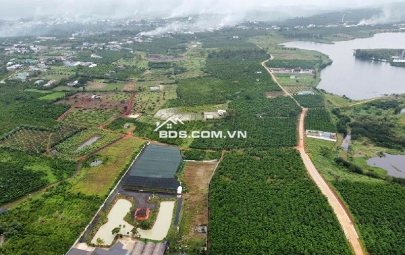 Chính chủ bán lô đất đẹp 26000m2 tại phường Lộc Phát, Bảo Lộc, Lâm Đồng