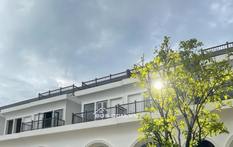 Mozzadiso gói 6 KĐT Mỹ Gia đang mở bán giai đoạn 2