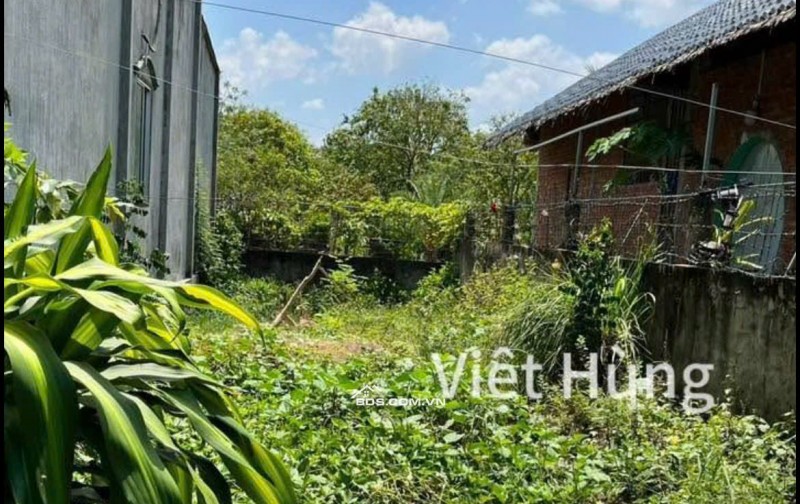 BÁN ĐẤT MẶT TIỀN QL30, GẦN CHỢ MỸ XƯƠNG