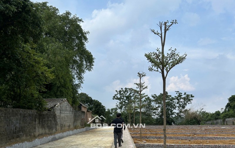 14 Lô đất đẹp tại Phú Cát – Quốc Oai – Hà Nội