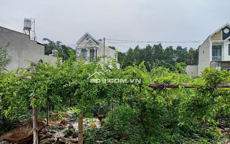 CHÍNH CHỦ CẦN BÁN LÔ ĐẤT SỔ HỒNG RIÊNG TẠI AN VIỄN TRẢNG BOM. LH:0972203398.