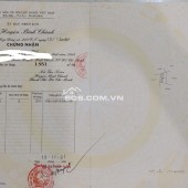 Cần Bán 2950m2 đất trồng cây lâu năm ở ấp 23 Tân Nhựt Bình Chánh