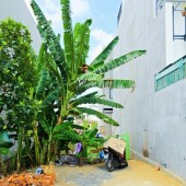 Bán đất thổ cư Đường Long Thuận, Phường Long Phước, TP HCM, DT 59m2, 4 x14.7m, SHR, 3.35 tỷ.