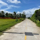 Chính Chủ Bán Gấp Đất Đẹp Mặt Tiền TT Cần Đước Giá 100%