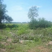 CHÍNH CHỦ CẦN BÁN LÔ ĐẤT THỔ CƯ 208m2 ĐỨC HÒA, LONG AN, ĐÃ CÓ SỔ