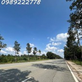 Bán nhanh lô đất Mặt tiền 150m thuộc Mỹ Phước 4, TP Bến Cát, Bình Dương, TPHCM
Đối diện đang xây trường Đại học Thủ Dầu Một