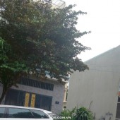 BÁN NHÀ + 3 PHÒNG TRỌ – HẺM Ô TÔ VÕ THỊ SÁU, NGAY BÊN HÔNG SIÊU THỊ GO! DĨ AN