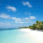 Sỡ hữu ngay cặp đất mặt tiền đường Võ Nguyên Giáp, Q.Sơn Trà, TP. Đà Nẵng