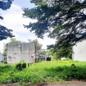  BÁN ĐẤT THỔ CƯ LONG AN – 73m², SỔ HỒNG RIÊNG- GIÁ 1TỶ5 