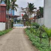 Chính chủ bán gấp 229.5m2 tại Xuân Đồng, Tân Minh, Sóc Sơn, Hà Nội