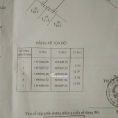 ô tô đậu trước nhà 3,1x12,5m , 4 tầng , giá 10,2 tỷ tl