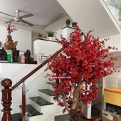 NHÀ 3 TẦNG- MẶT TIỀN HẺM KINH DOANH- 50m2- NHỈNH 8 TỶ