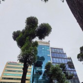 Bán Building góc 2MT 35 Mạc Đĩnh Chi, Q1 – HĐT 4.8 Tỷ/Năm, DT 204m², Hầm + 10 Tầng – 235 Tỷ
