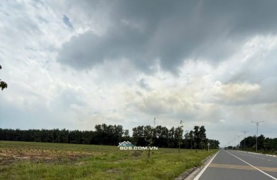 Bán đất mặt tiền Nguyễn Hữu Cảnh Nhơn Trạch Đồng Nai khu hành chính
