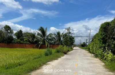 Chính Chủ Bán Gấp Đất Đẹp Mặt Tiền TT Cần Đước 100%