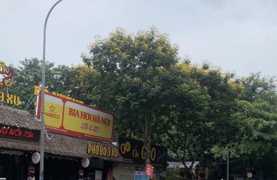 LÒ ĐÚC DÂN XÂY KHUNG CỘT BÊ TÔNG – GẦN PHỐ TRUNG TÂM HAI BÀ