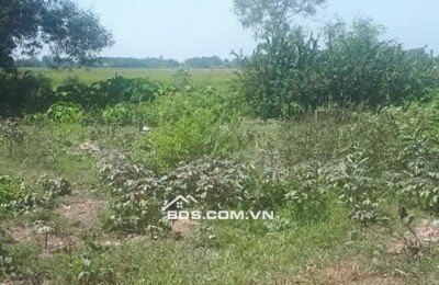 CHÍNH CHỦ CẦN BÁN LÔ ĐẤT THỔ CƯ 208m2 ĐỨC HÒA, LONG AN, ĐÃ CÓ SỔ