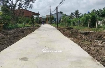 Chính chủ cần bán gấp đất lúa xã An Lục Long huyện Châu Thành Long An