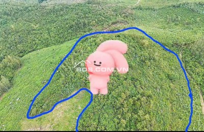 Cần Bán 5,1ha Đất Thôn Phú Thạnh, Xã Hòa Quang Nam, Huyện Phú Hòa, Tỉnh Phú Yên (nay thuộc Đắk Lắk)