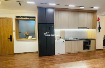 CHÍNH CHỦ GỬI BÁN CĂN HỘ CHUNG CƯ A4 ĐỀN LỪ VIUU TRIỆU ĐÔ 65M 4.45 TỈ