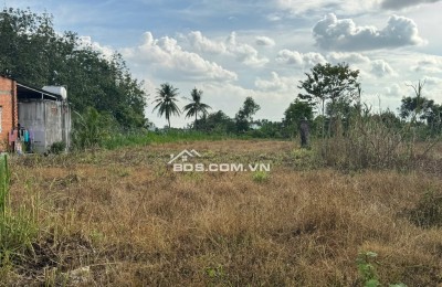 Chính Chủ Bán 1575,7m2 Đất Vườn Tại Phường Trảng Bàng, Thị Xã Trảng Bàng, Tây Ninh.