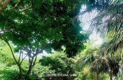  BT13 – LÔ ĐẤT VIEW HỒ CỰC ĐẸP HANDICO VINH TÂN 