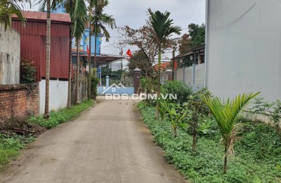Chính chủ bán gấp 229.5m2 tại Xuân Đồng, Tân Minh, Sóc Sơn, Hà Nội