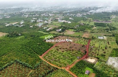 Chính chủ bán lô đất đẹp 26000m2 tại phường Lộc Phát, Bảo Lộc, Lâm Đồng