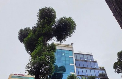 Bán Building góc 2MT 35 Mạc Đĩnh Chi, Q1 – HĐT 4.8 Tỷ/Năm, DT 204m², Hầm + 10 Tầng – 235 Tỷ