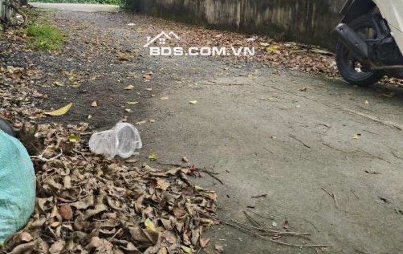  BÁN NHÀ THỚI TAM THÔN - HÓC MÔN - 3.5 Tỷ  Diện tích: 5x17m