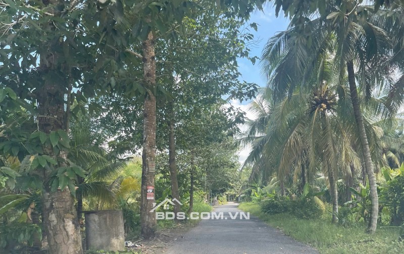 ĐẤT VƯỜN DỪA 1500 M2 ĐANG THU HOẠCH (CÓ 200 M2 THỎ CƯ), LỘ  NHỰA 5 TẤN
