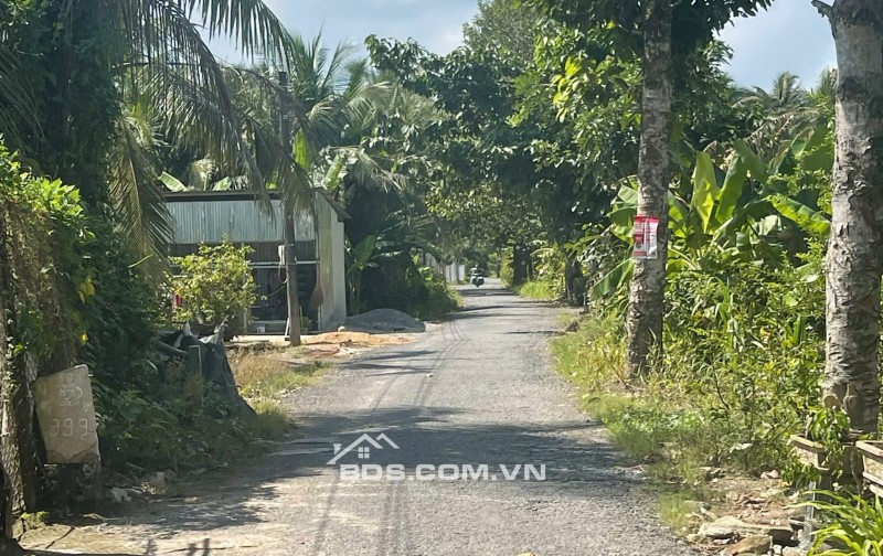 ĐẤT VƯỜN DỪA 1500 M2 ĐANG THU HOẠCH (CÓ 200 M2 THỎ CƯ), LỘ  NHỰA 5 TẤN