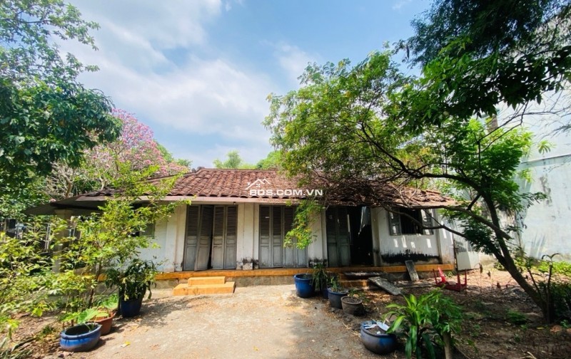  ĐẤT ĐẸP THỔ CƯ - GIÁ MỚI CHỈ 21.8 TỶ  842m² (18.3×46m) – Hẻm xe hơi, khu ấp Tiền Lân, Bà Điểm, Hóc Môn – giáp Q12, Bình Tân