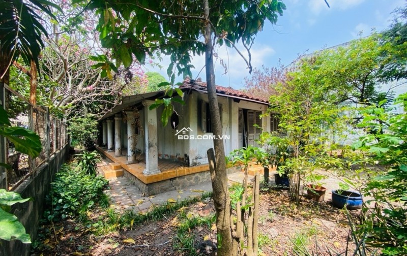  ĐẤT ĐẸP THỔ CƯ - GIÁ MỚI CHỈ 21.8 TỶ  842m² (18.3×46m) – Hẻm xe hơi, khu ấp Tiền Lân, Bà Điểm, Hóc Môn – giáp Q12, Bình Tân