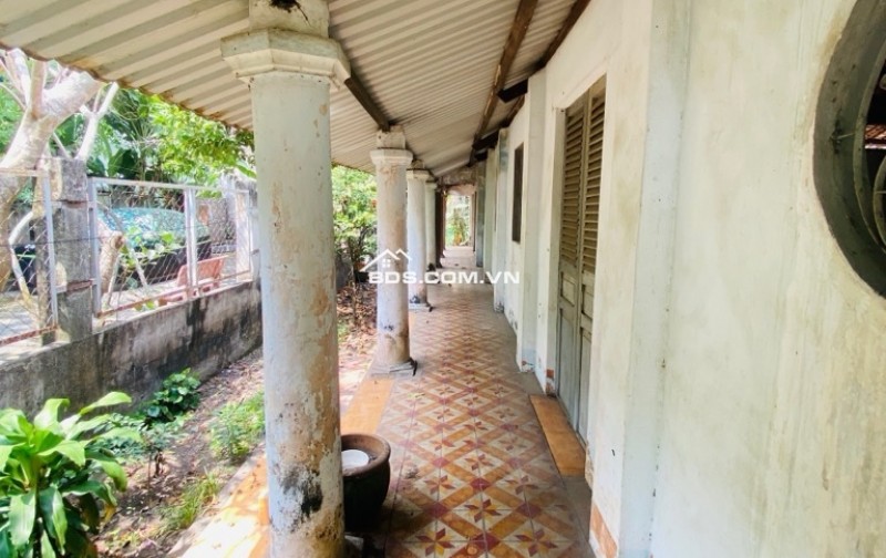  ĐẤT ĐẸP THỔ CƯ - GIÁ MỚI CHỈ 21.8 TỶ  842m² (18.3×46m) – Hẻm xe hơi, khu ấp Tiền Lân, Bà Điểm, Hóc Môn – giáp Q12, Bình Tân