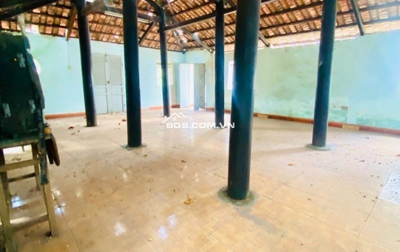 ĐẤT ĐẸP THỔ CƯ - GIÁ MỚI CHỈ 21.8 TỶ  842m² (18.3×46m) – Hẻm xe hơi, khu ấp Tiền Lân, Bà Điểm, Hóc Môn – giáp Q12, Bình Tân