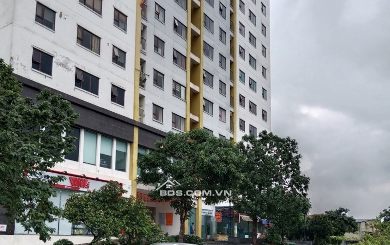 Bán Căn Chung Cư Đồng Phát, Hoàng Mai 78m, giá 5,6 tỷ.