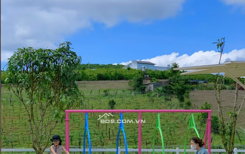 Bán Đất Sun Valley Bảo Lộc Full Thổ Cư