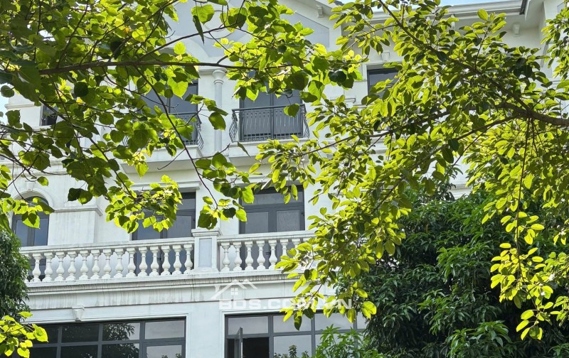 Shophouse mặt đường 52m, ngay 66 tòa chung cư Vinhomes Ocean Park 1 Hà Nội. Miễn TG