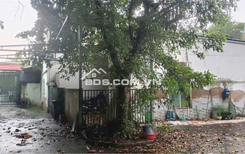 Bán nhà vườn 701m2 vuông vức siêu đẹp ở KDC Hiệp Bình Chánh Thủ Đức