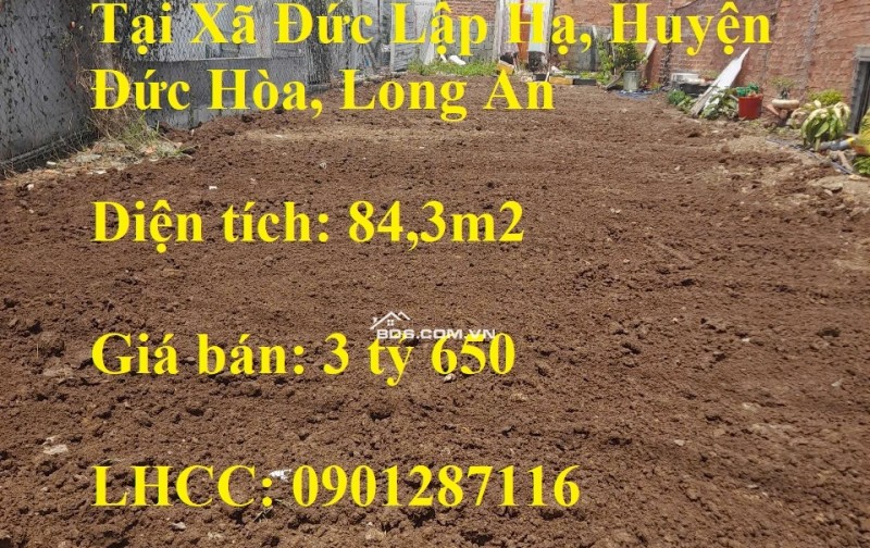 Chính Chủ Bán 84,3m2 Đất Mặt Tiền Đường Quốc Lộ N2 Tại Xã Đức Lập Hạ, Đức Hòa, Long An