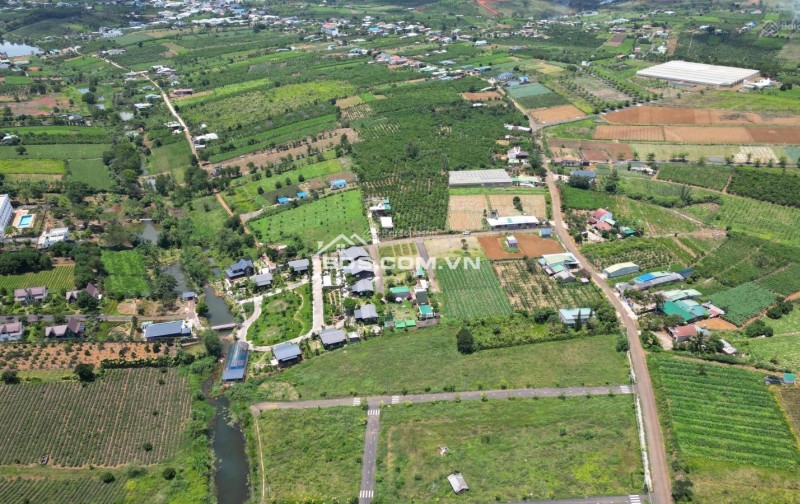 BÁN LÔ ĐẤT PHƯỜNG 2 BẢO LỘC GẦN NGÃ NĂM ĐAMBRI (NHÁNH KHÚC THỪA DỤ)