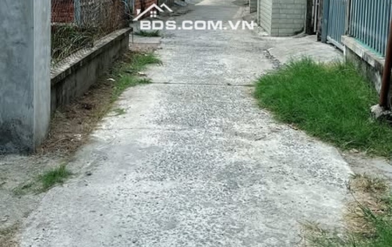 Bán gấp 147m2 đất cách TL884 Sơn Đông 120m