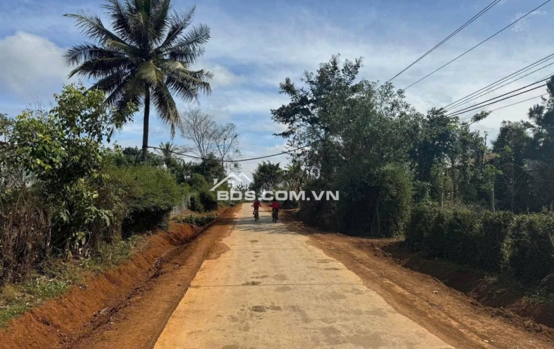 Cần Bán 500m2, Thổ Cư 120m2 Tại Xã Dur Kmăl, Huyện Krông Ana, Tỉnh Đắk Lắk.