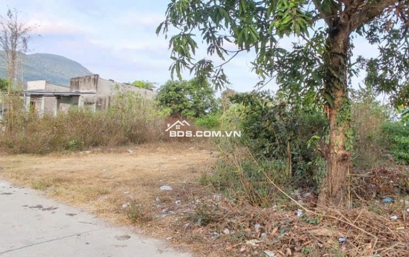 Bán Gấp Lô Biệt Thự Diên Khánh, thổ cư ngang 20m, đường betong 5m, qh 8m, gần chợ, trường, ubnd