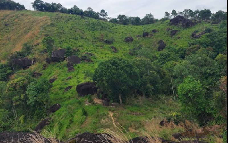  BÁN ĐẤT ĐẸP MÕM ĐÁ – FULL THỔ CƯ, VIEW THOÁNG, GIÁ CHỈ 4,5 TRIỆU/M²