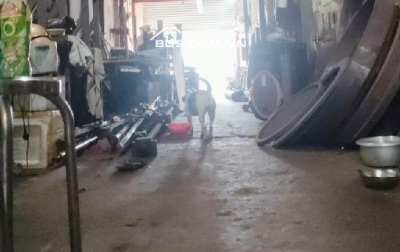 BÁN KHO XƯỞNG MẶT TIỀN TRẦN VĂN MƯỜI – XÃ BÀ ĐIỂM, HÓC MÔN  Diện tích: 450m² (8×40m) – Sổ riêng, pháp lý rõ ràng  Giá: 15 Tỷ (TL chính chủ)
